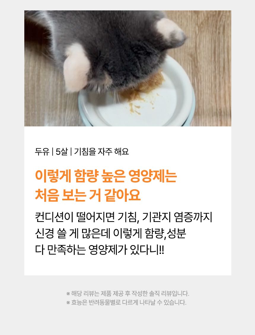 [NEW신상]펫생각 데일리케얼 브레스 PRO 기관지 영양제 60캡슐 5번째