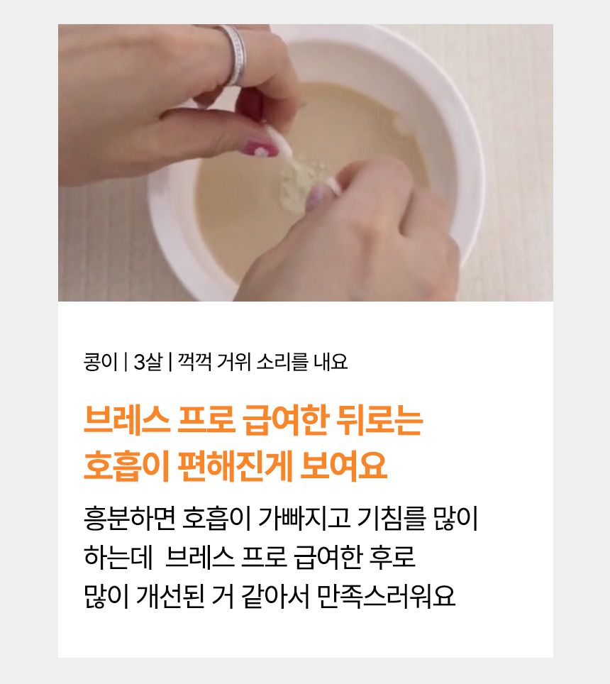 [NEW신상]펫생각 데일리케얼 브레스 PRO 기관지 영양제 60캡슐 3번째