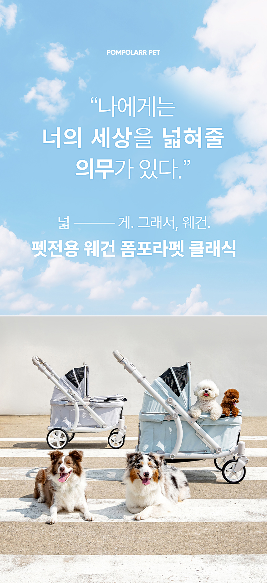 [NEW신상][무료배송] 폼포라펫 클래식 웨건 5color 1번째