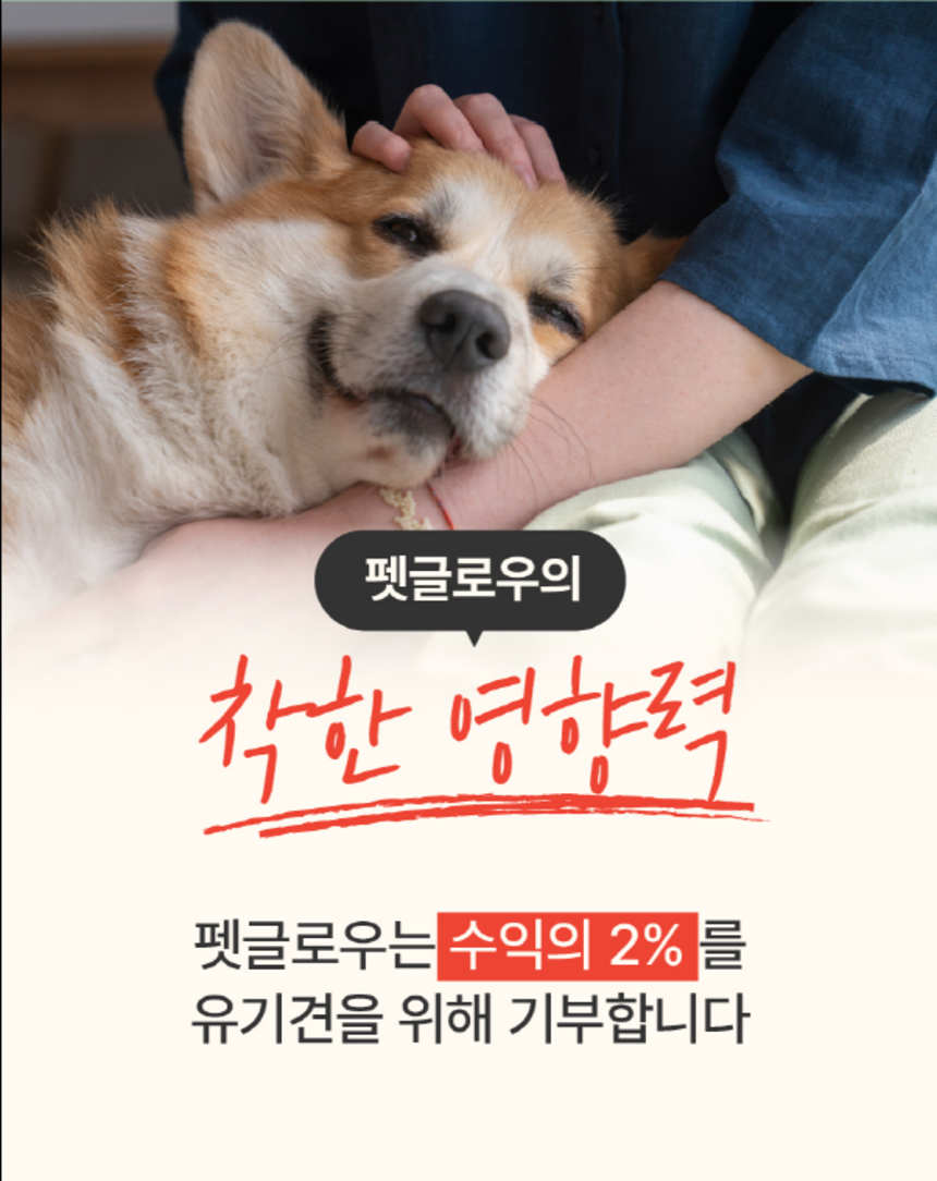 [체험단] [무료배송] 펫글로우 독 더마플러스 피부 면역 영양제 100g 3번째