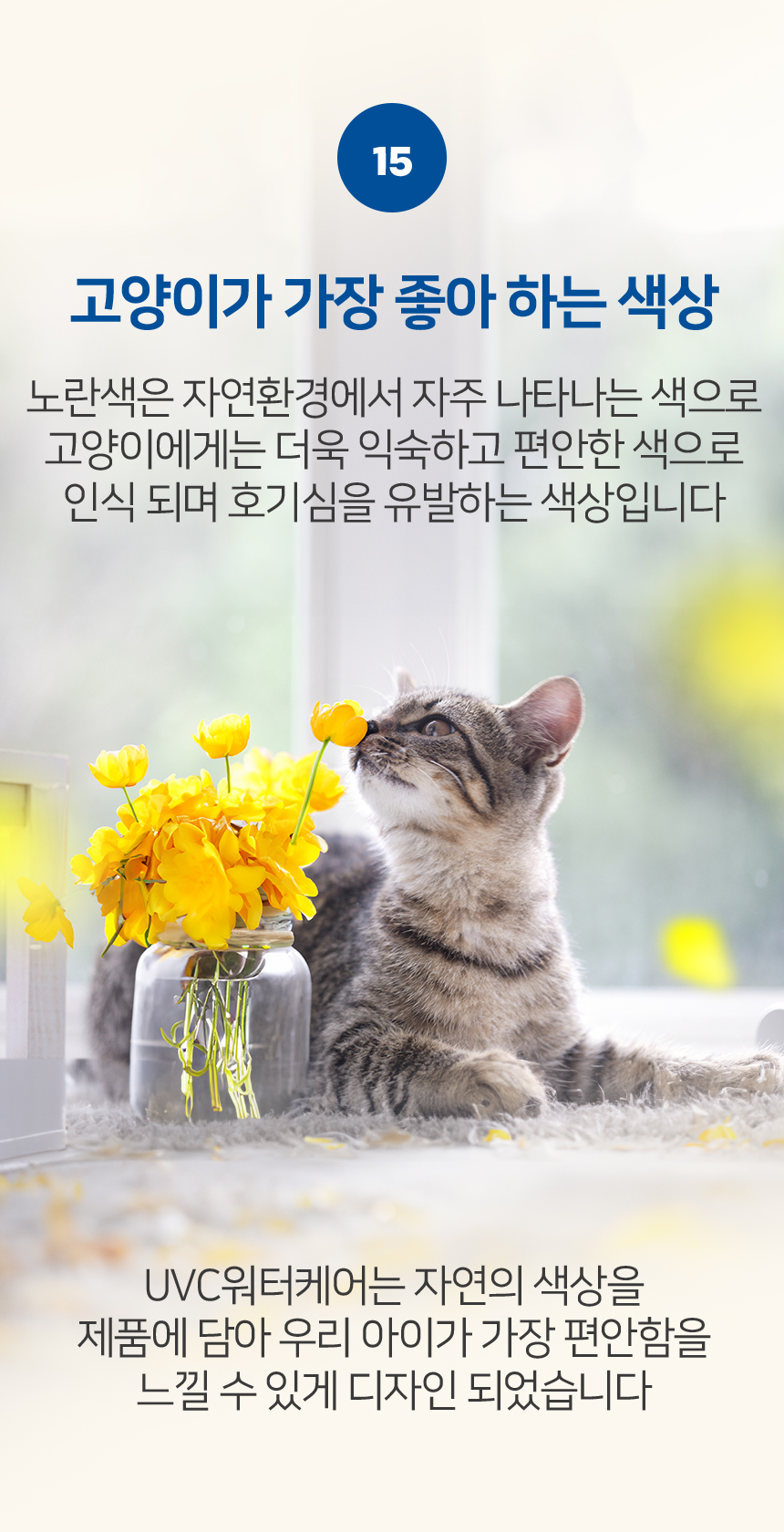 [NEW신상][무료배송] 모닝커들 UVC 워터케어 자동 정수기 52번째