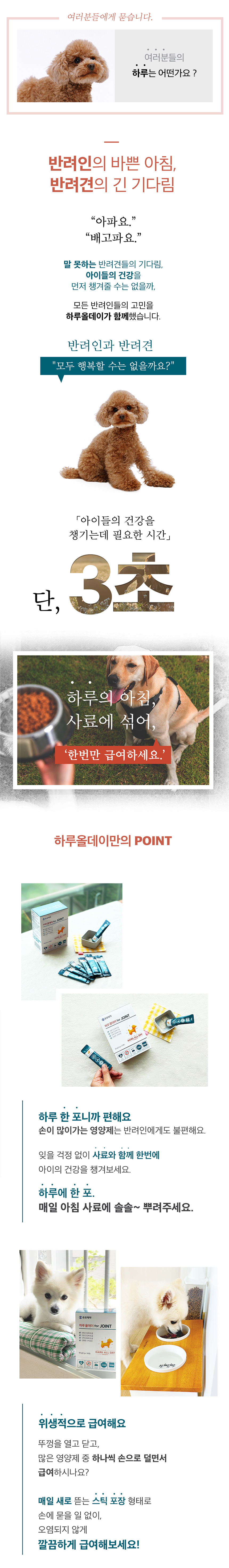 유유제약 하루올데이 강아지 관절 영양제 반려견 애견 슬개골 글루코사민 카제로템 2g x 30p 5번째