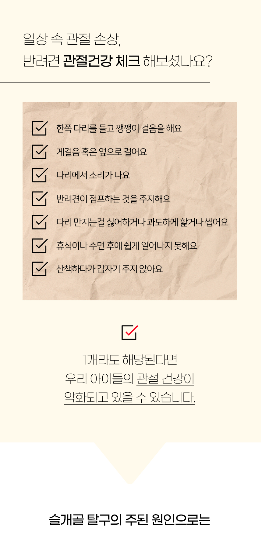 [NEW신상][무료배송] 개과천선 독 에스다 펫스텝 계단 (피쉬 그레이/컬러 그레이) 3번째
