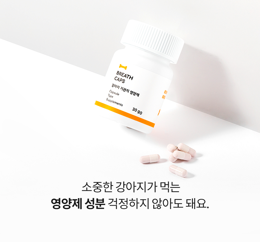 [무료배송] 본아페티 브레스캡스 강아지 기관지 영양제 애견 호흡기 영양제 노령견 기침 60정 9번째