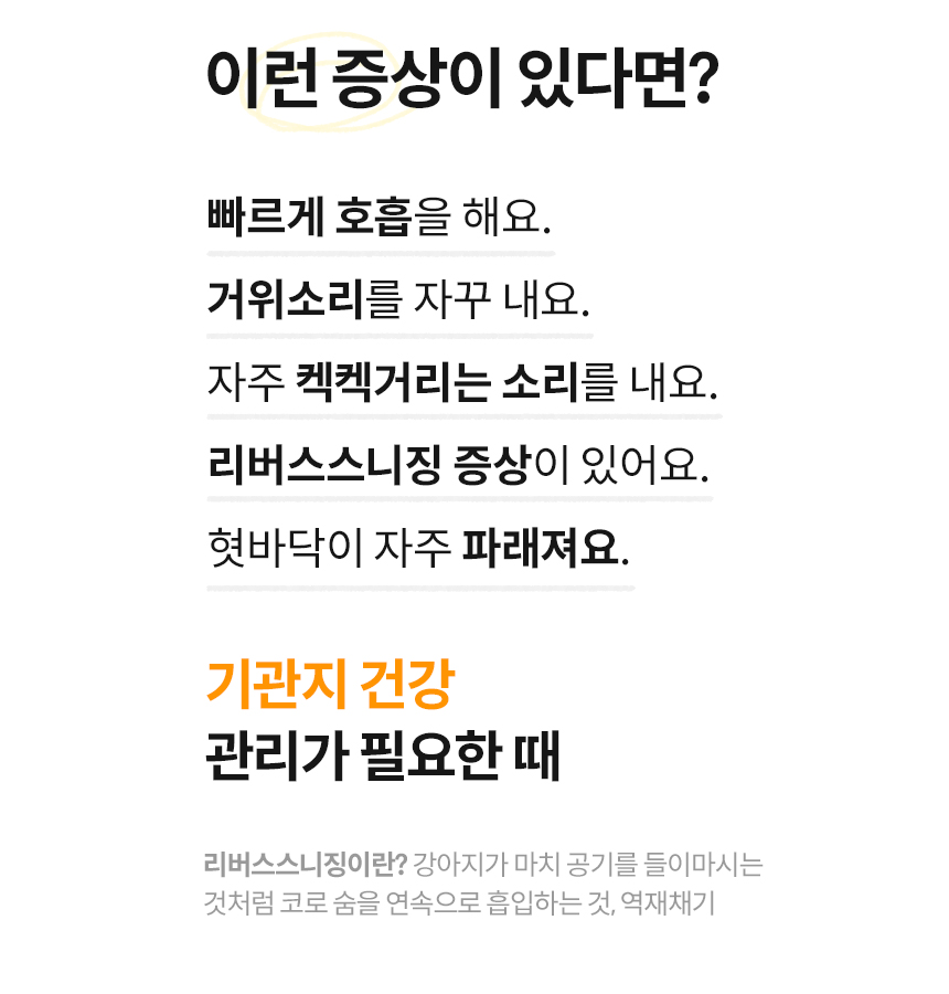 [무료배송] 본아페티 브레스캡스 강아지 기관지 영양제 애견 호흡기 영양제 노령견 기침 60정 8번째