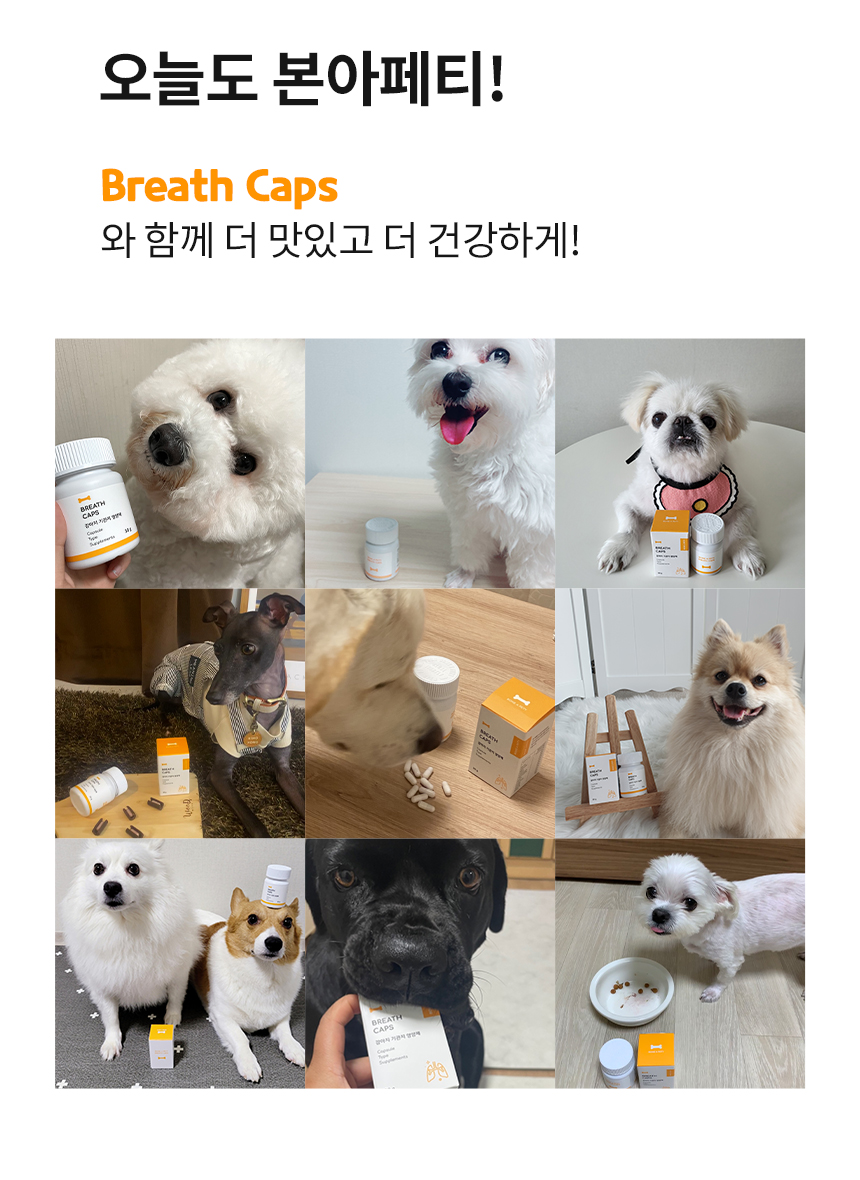 [무료배송] 본아페티 브레스캡스 강아지 기관지 영양제 애견 호흡기 영양제 노령견 기침 60정 12번째