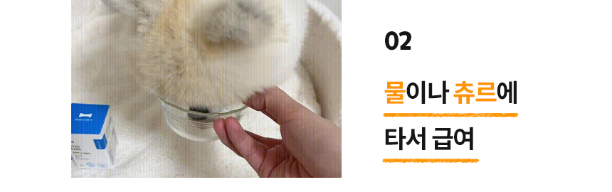 [무료배송] 본아페티 브레스캡스 강아지 기관지 영양제 애견 호흡기 영양제 노령견 기침 60정 24번째