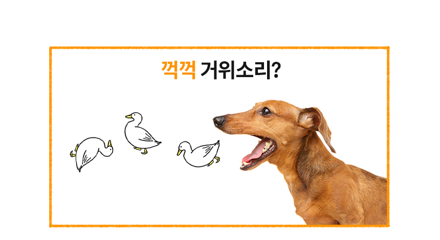 [무료배송] 본아페티 브레스캡스 강아지 기관지 영양제 애견 호흡기 영양제 노령견 기침 60정 3번째