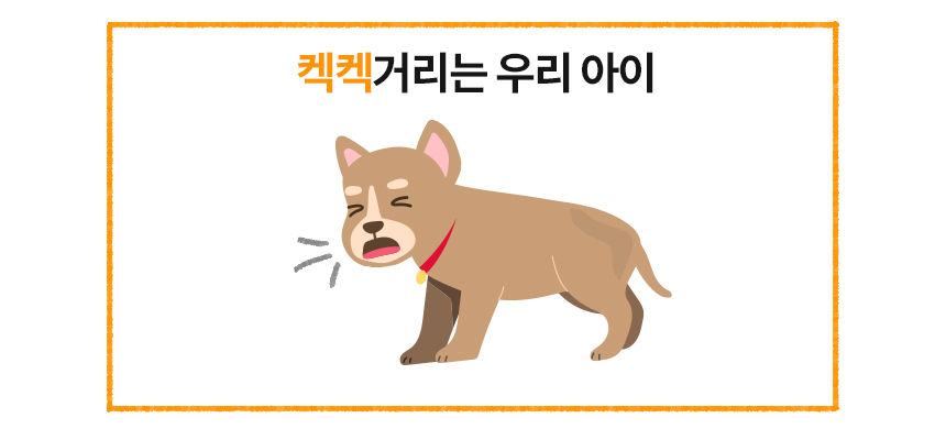 [무료배송] 본아페티 브레스캡스 강아지 기관지 영양제 애견 호흡기 영양제 노령견 기침 60정 4번째
