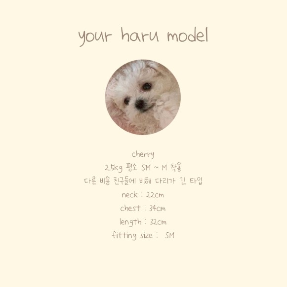 [무료배송] 유어하루 독 베이비 버니 베스트 베이지 S-XL 13번째