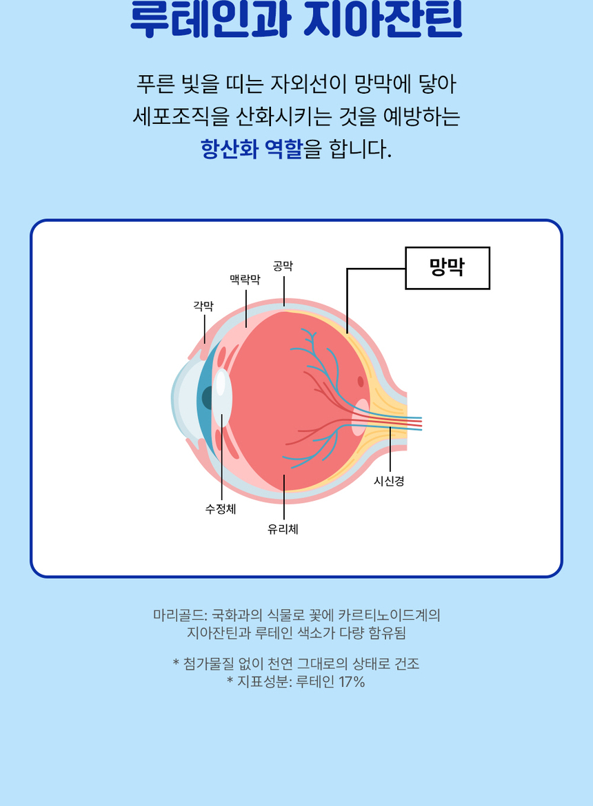 [무료배송] [1+1] 라이프펫 강아지 눈물영양제 아이즈 90g 22번째