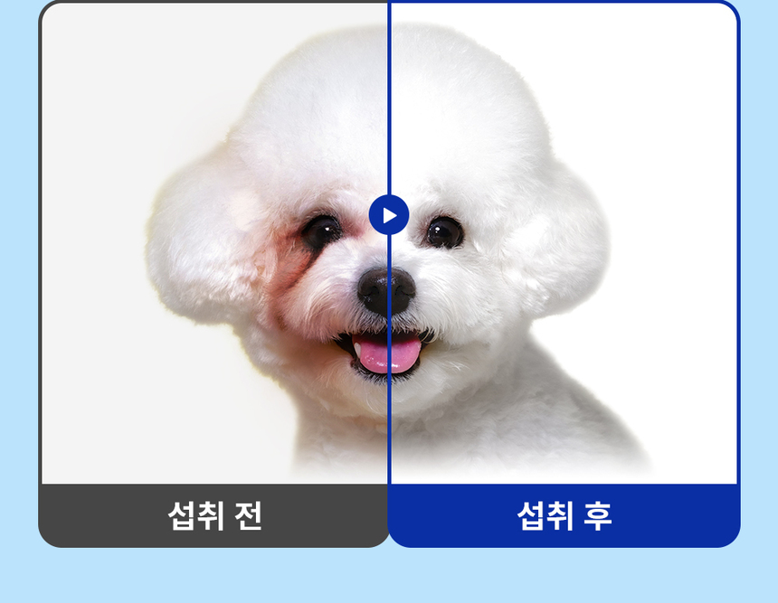 [무료배송] [1+1] 라이프펫 강아지 눈물영양제 아이즈 90g 9번째