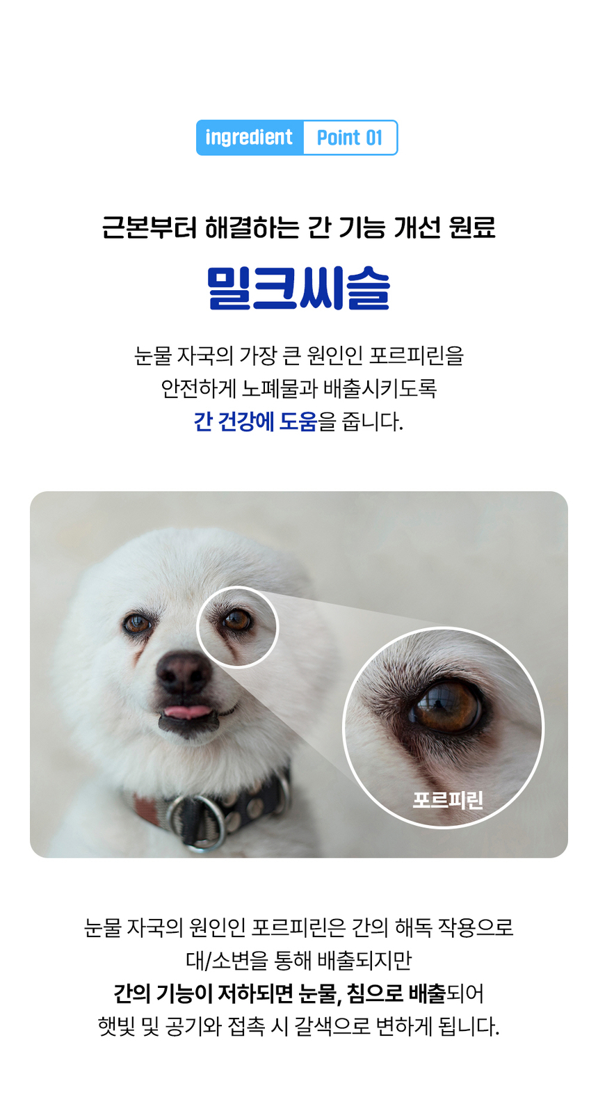 [무료배송] [1+1] 라이프펫 강아지 눈물영양제 아이즈 90g 18번째