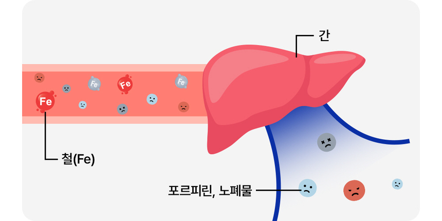 [무료배송] [1+1] 라이프펫 강아지 눈물영양제 아이즈 90g 19번째