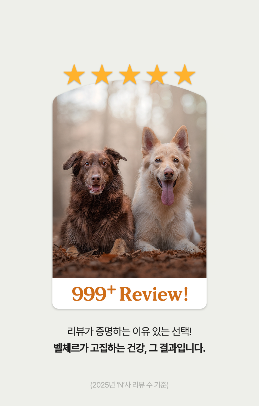 [NEW신상][무료배송] 벨체르 프리미엄 저알러지 말고기 떡심말이 70g 2번째