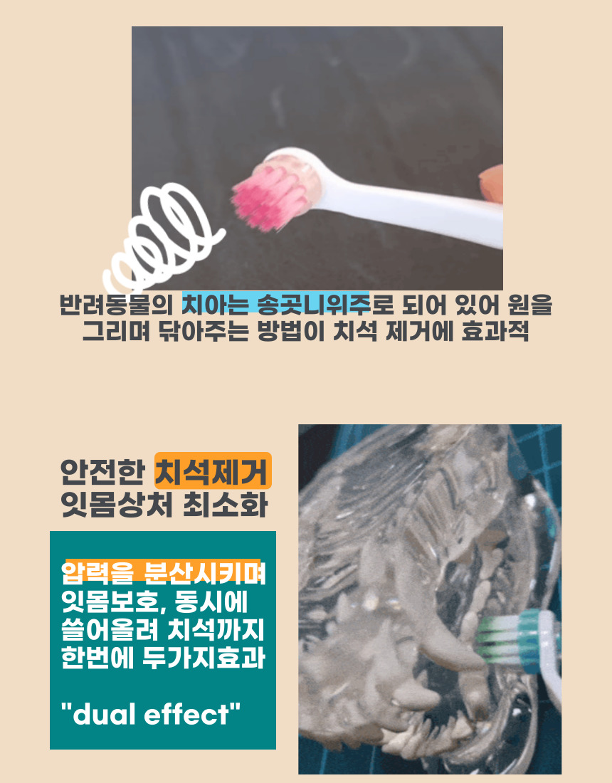 [NEW신상][무료배송] 무지조타 오랄디360 셀프액션 360도 무동력 회전 칫솔 12번째