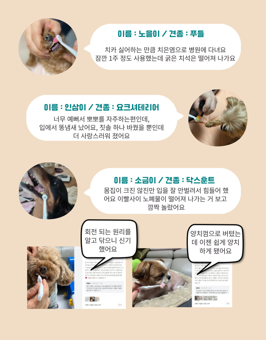 [NEW신상][무료배송] 무지조타 오랄디360 셀프액션 360도 무동력 회전 칫솔 8번째