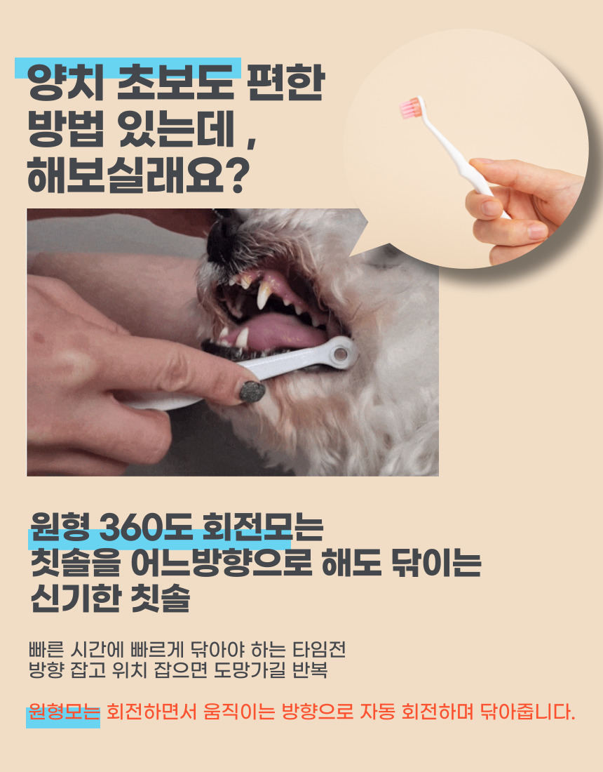 [NEW신상][무료배송] 무지조타 오랄디360 셀프액션 360도 무동력 회전 칫솔 4번째