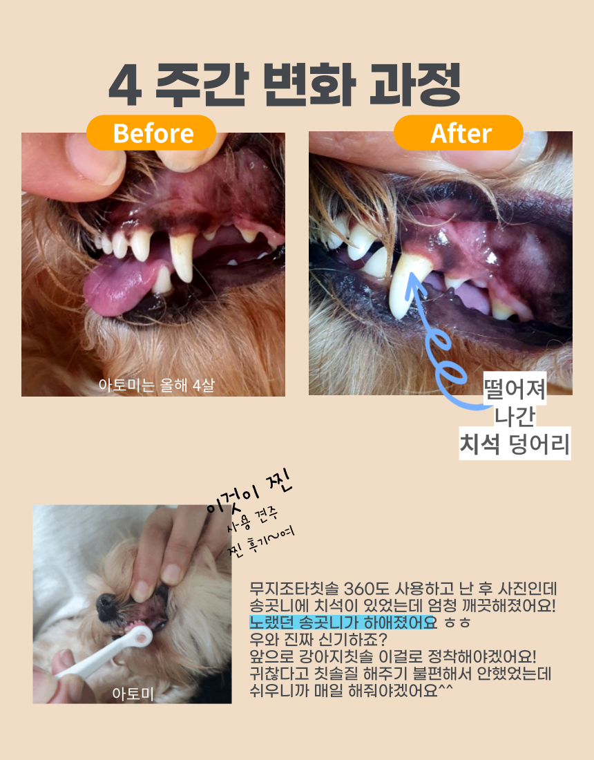 [NEW신상][무료배송] 무지조타 오랄디360 셀프액션 360도 무동력 회전 칫솔 6번째