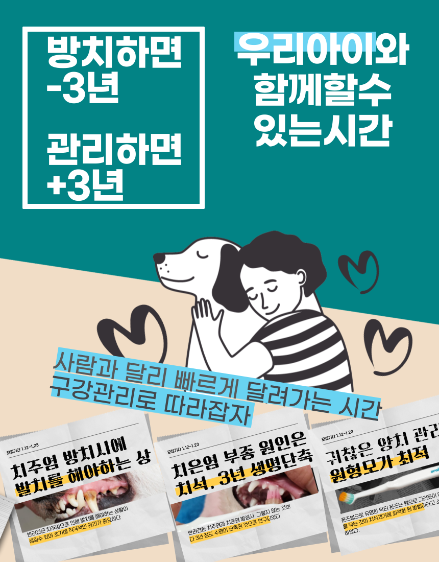[NEW신상][무료배송] 무지조타 오랄디360 셀프액션 360도 무동력 회전 칫솔 5번째