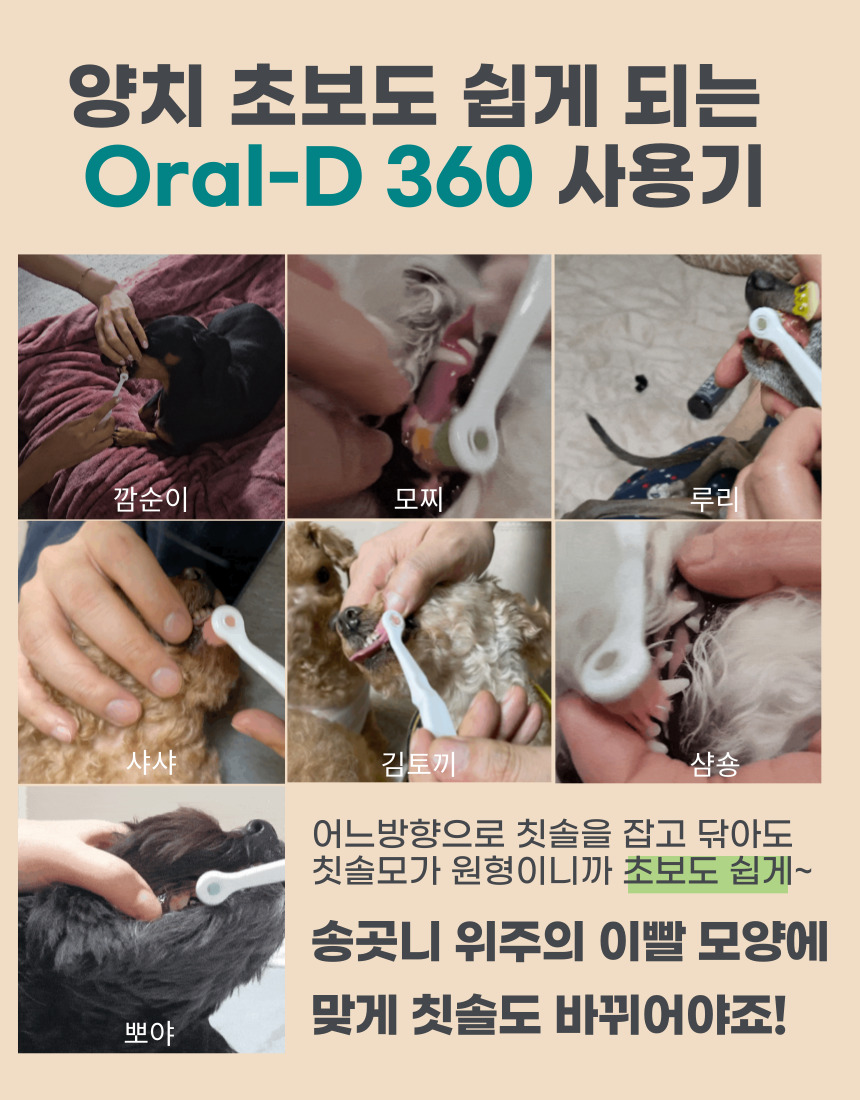 [NEW신상][무료배송] 무지조타 오랄디360 셀프액션 360도 무동력 회전 칫솔 7번째