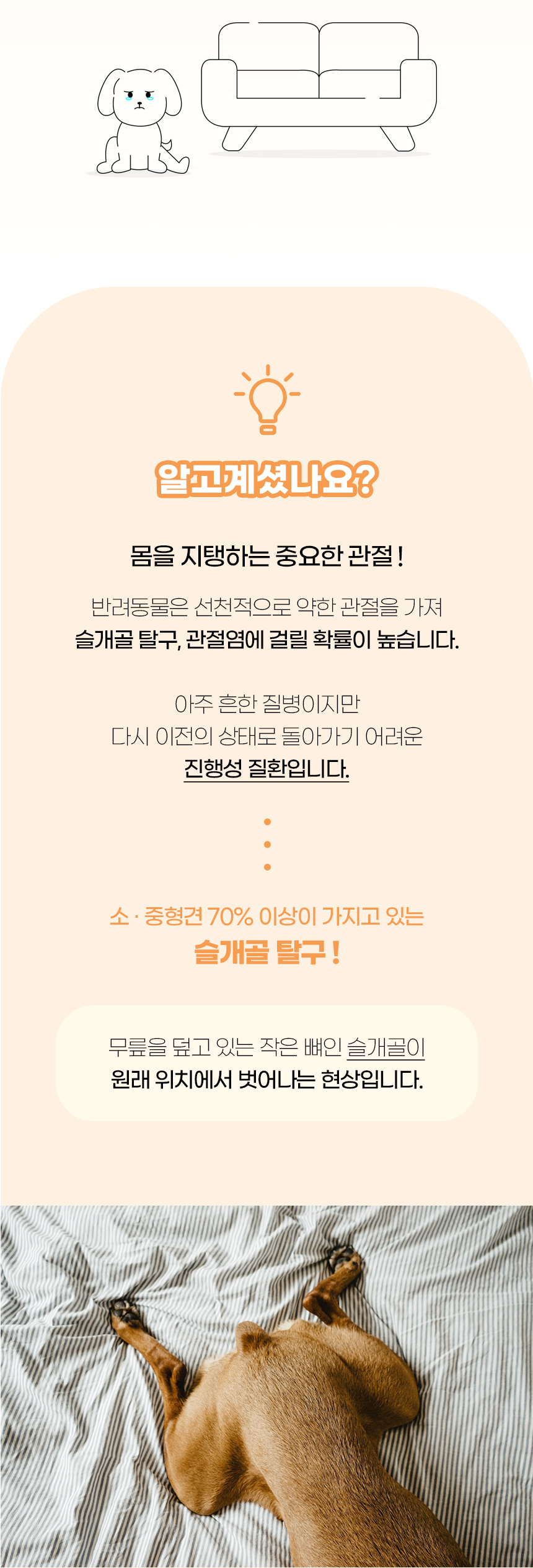 [NEW신상][무료배송] 개과천선 독 에스드 펫스텝 계단 (네이비 그레이/바이올렛 그레이) 2번째