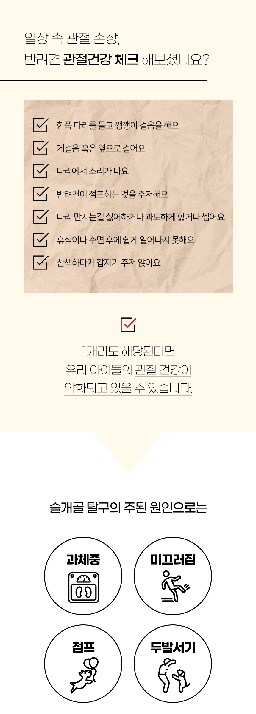 [NEW신상][무료배송] 개과천선 독 에스드 펫스텝 계단 (네이비 그레이/바이올렛 그레이) 3번째