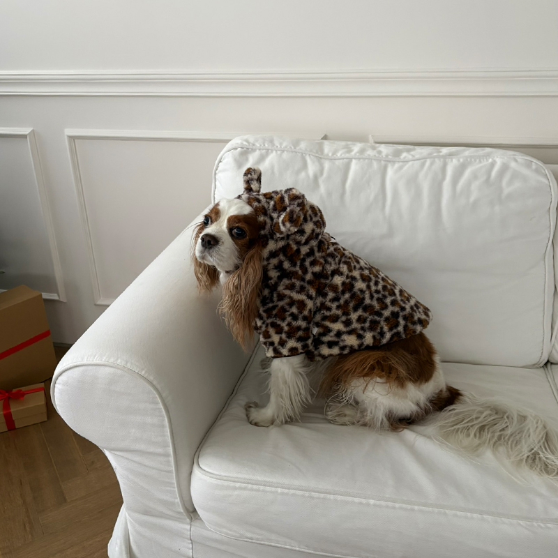 [NEW신상][무료배송] 해피댕댕 호피자켓 2종 (브라운,아이보리) S-2XL 7번째