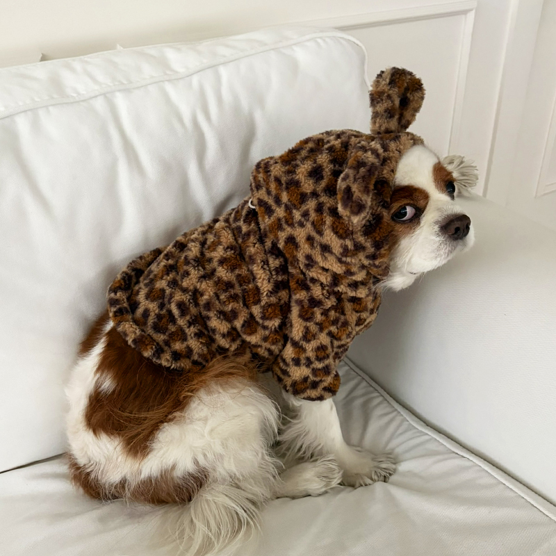 [NEW신상][무료배송] 해피댕댕 호피자켓 2종 (브라운,아이보리) S-2XL 12번째