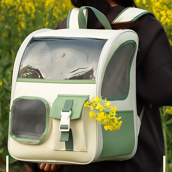 강아지 이동장과 여행 가방을 준비한 모습