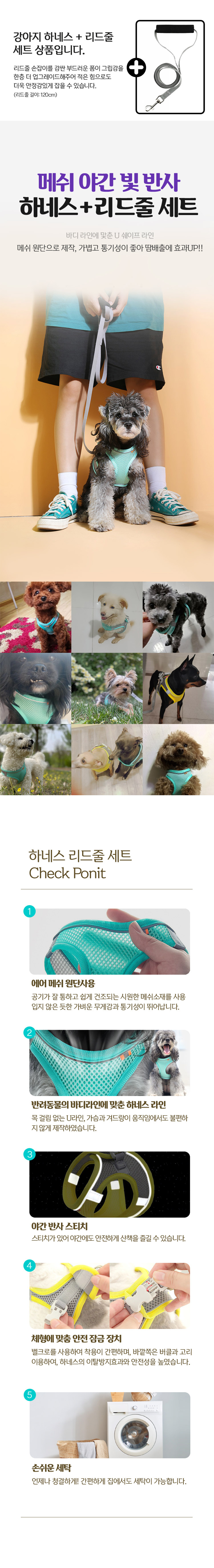 [무료배송] 멍멍아띠 매쉬 야간 하네스 리드줄 세트 1번째