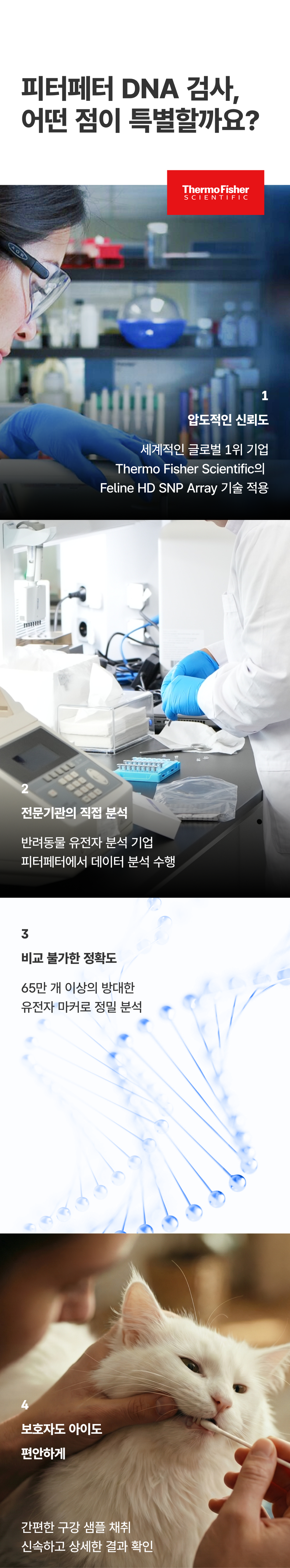 [NEW신상][무료배송] 피터페터 캣 DNA 검사 키트 5번째 상세 이미지