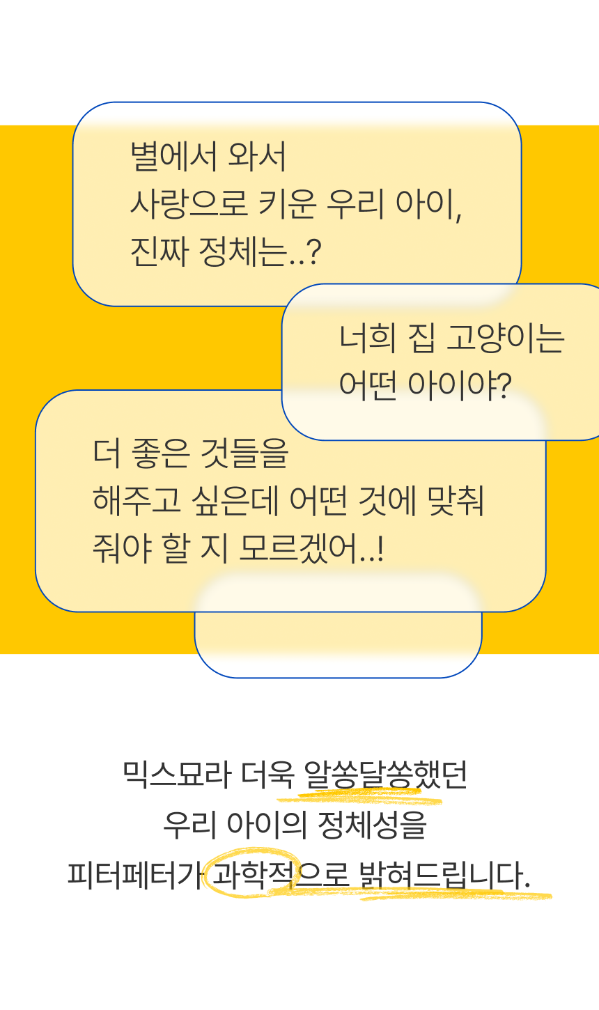 [NEW신상][무료배송] 피터페터 캣 DNA 검사 키트 2번째 상세 이미지