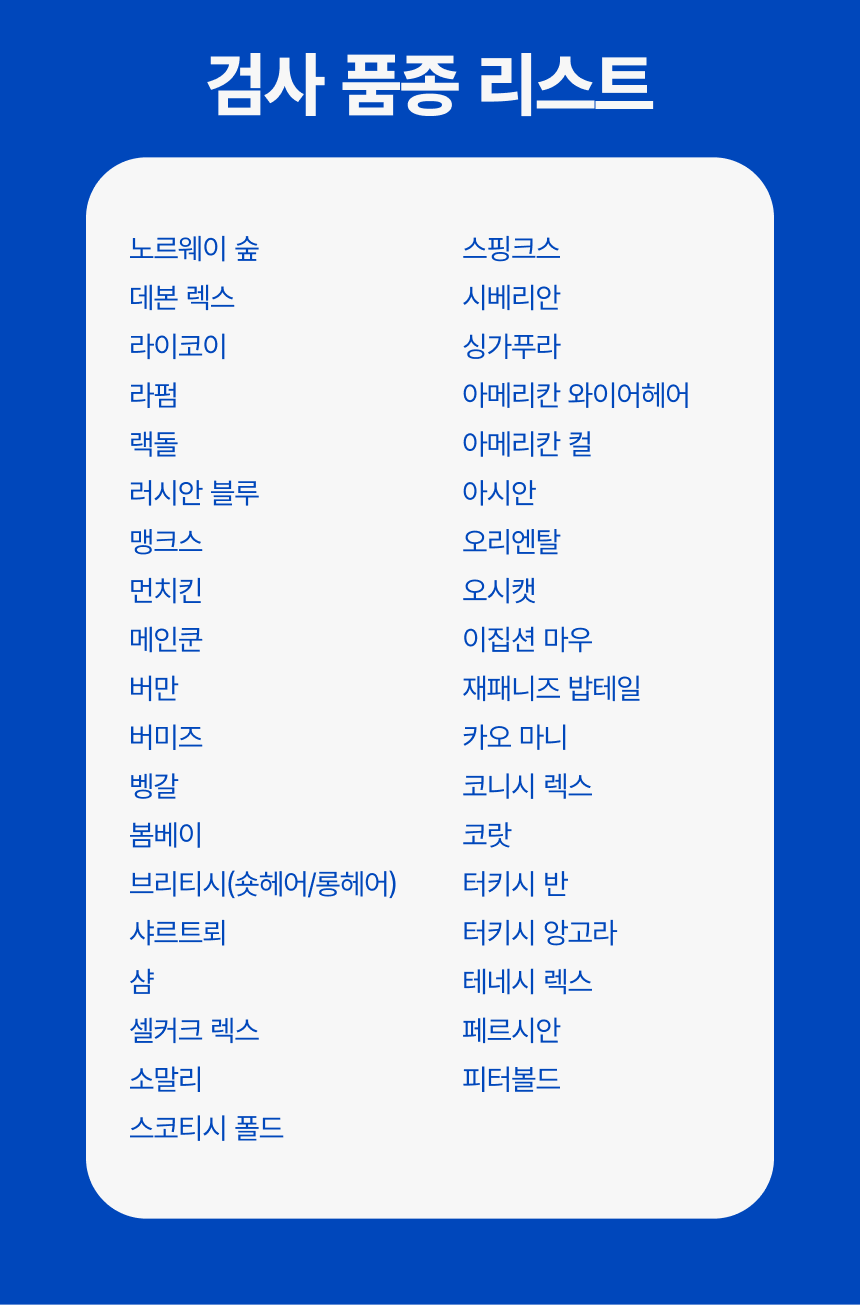 [NEW신상][무료배송] 피터페터 캣 DNA 검사 키트 7번째 상세 이미지