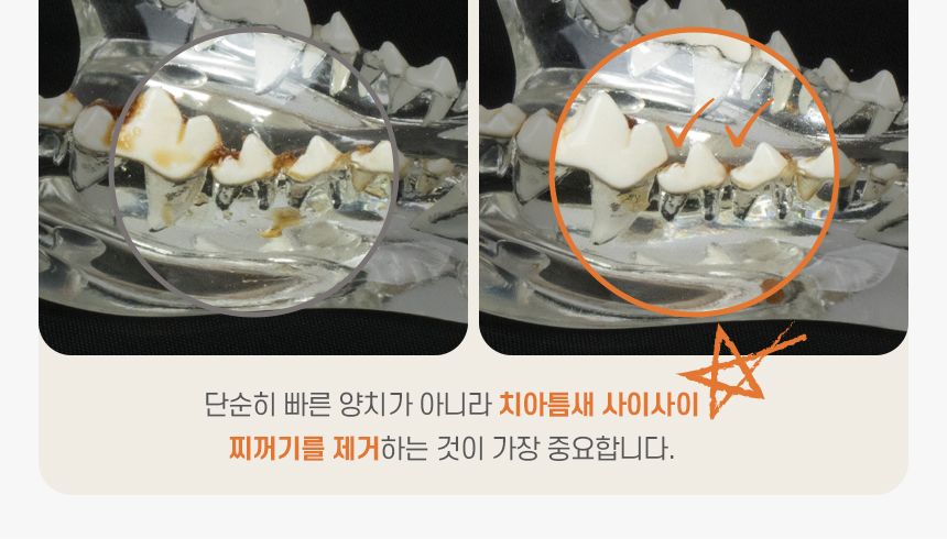 리스펫 초미세모 만모 칫솔 2p 7번째
