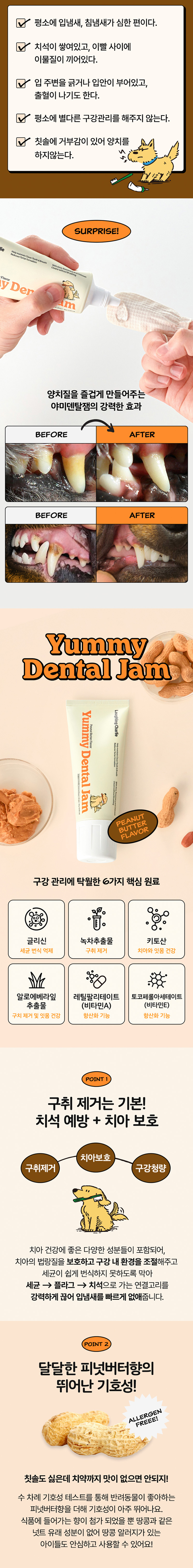 [NEW신상][무료배송] 래핑찰리 야미덴탈잼 피넛버터향 80g 2번째