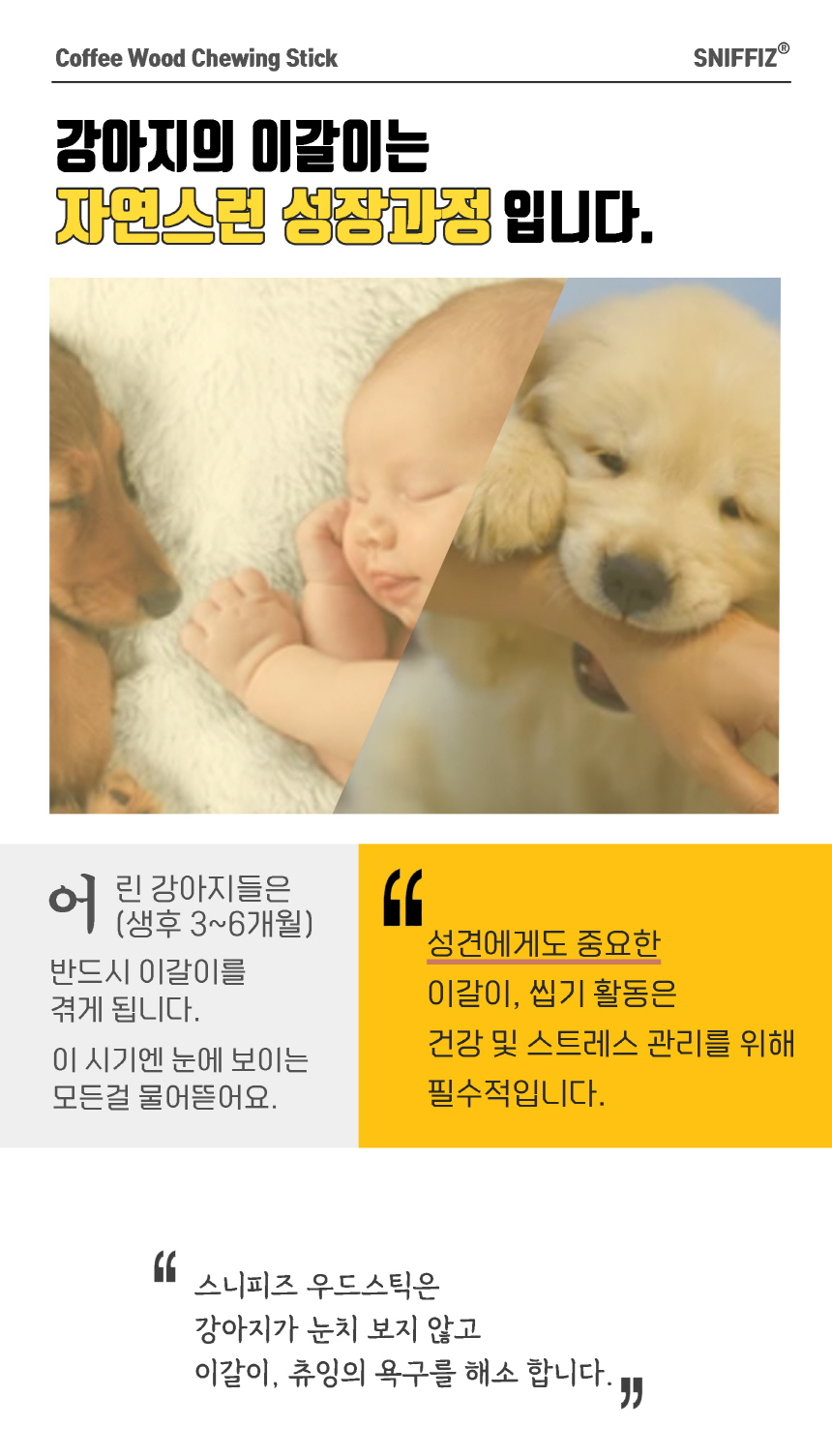 [체험단] 스니피즈 독 우드스틱 이갈이 장난감 새끼강아지 용 (XXS) x 5개 6번째