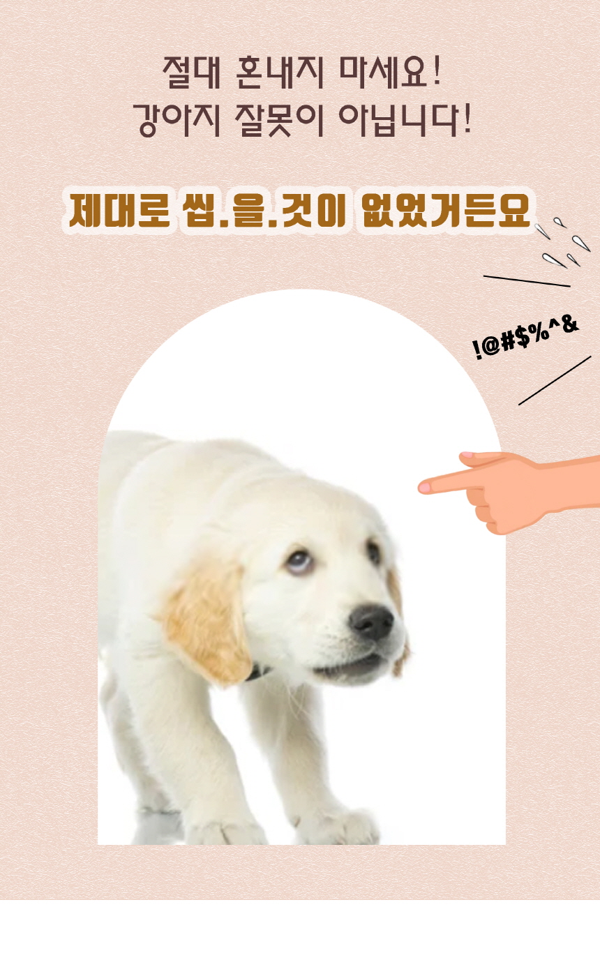 [체험단] 스니피즈 독 우드스틱 이갈이 장난감 새끼강아지 용 (XXS) x 5개 4번째