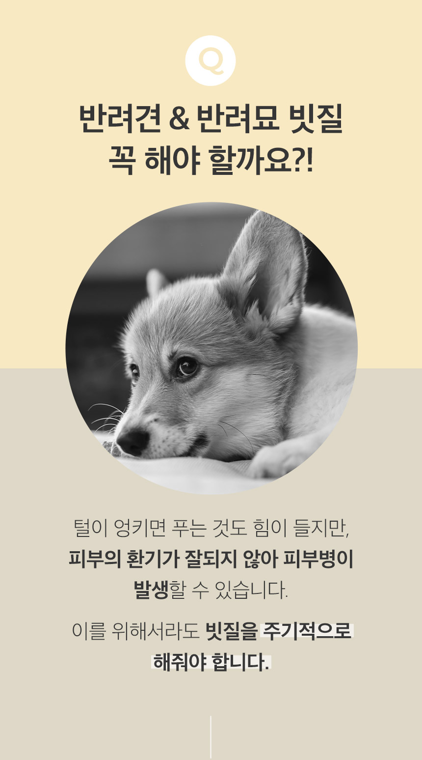 [무료배송] 페리가토 죽은털 제거 멀티 브러쉬 2번째