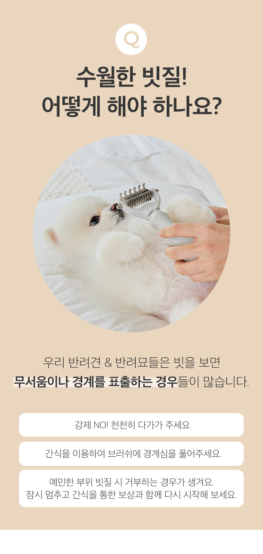 [무료배송] 페리가토 죽은털 제거 멀티 브러쉬 6번째