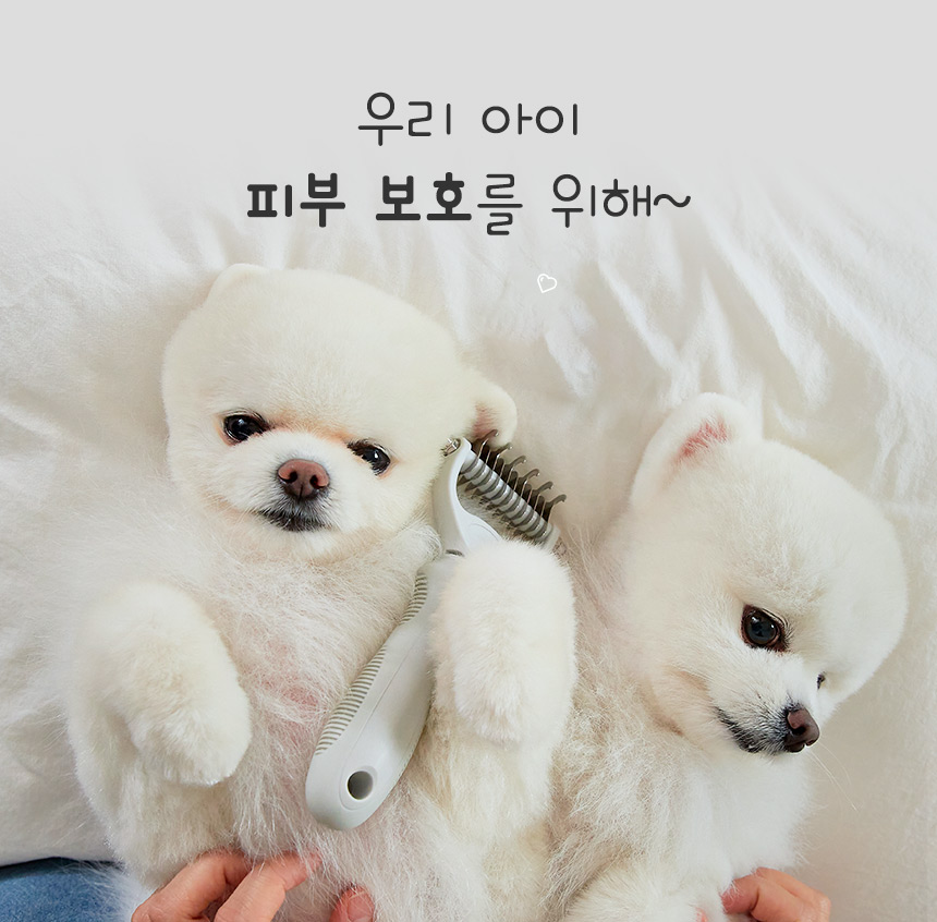 [무료배송] 페리가토 죽은털 제거 멀티 브러쉬 16번째