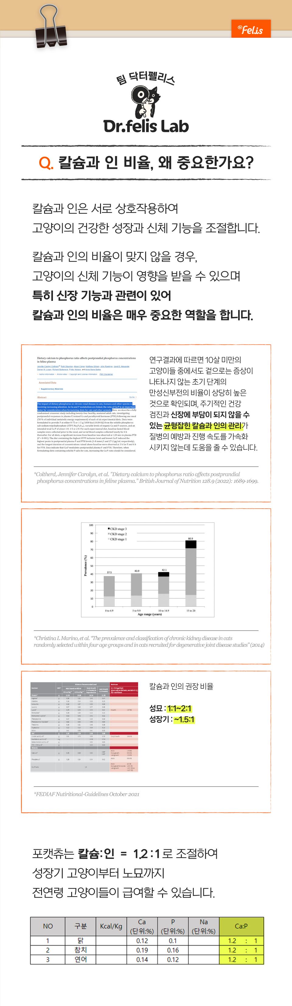 [특가할인]닥터펠리스 캣 포캣츄 참치 14g*4p 12번째