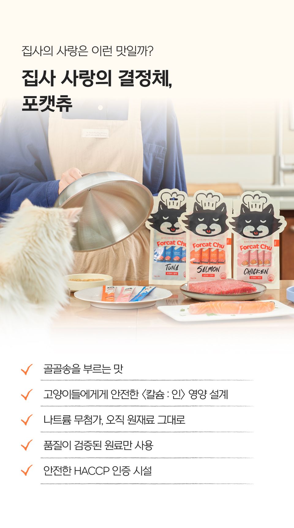 [특가할인]닥터펠리스 캣 포캣츄 참치 14g*4p 7번째