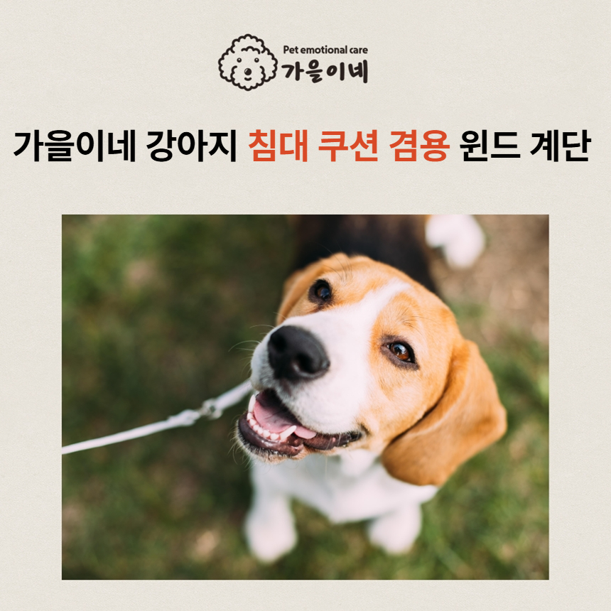 [NEW신상][무료배송] 가을이네 쿠션 방석 겸용 2단 펫스텝 1번째