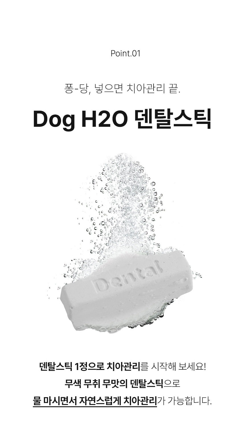 [무료배송] Dogh2o 강아지 고양이 구강케어 자동급수기 정수기 1.2리터 11번째