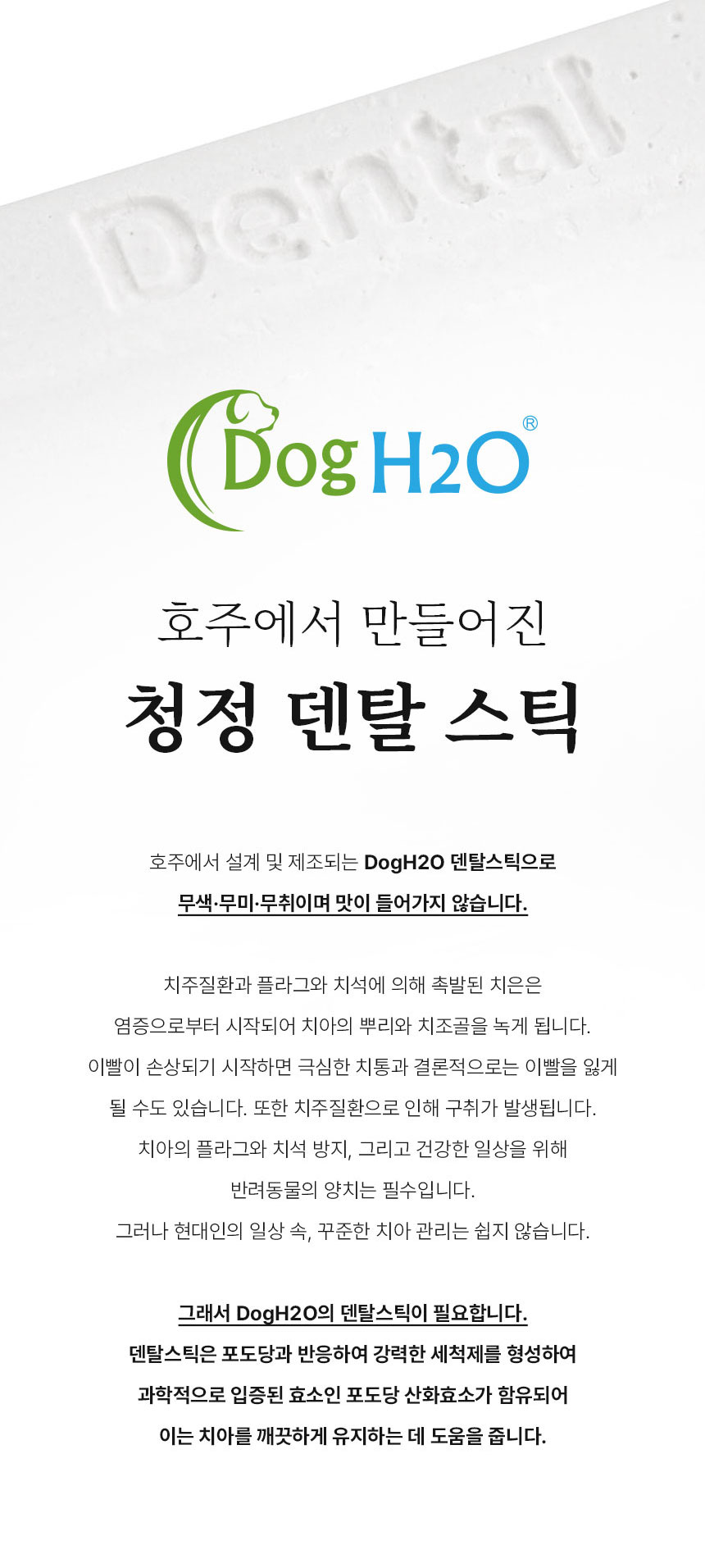 [무료배송] Dogh2o 강아지 고양이 구강케어 자동급수기 정수기 1.2리터 8번째