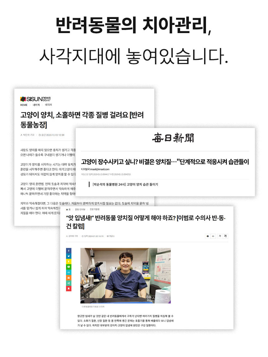 [무료배송] Dogh2o 강아지 고양이 구강케어 자동급수기 정수기 1.2리터 4번째