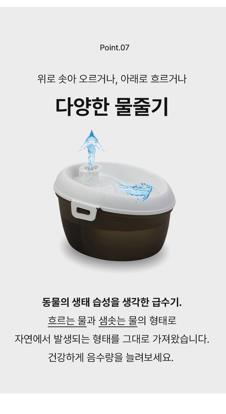 [무료배송] Dogh2o 강아지 고양이 구강케어 자동급수기 정수기 1.2리터 25번째