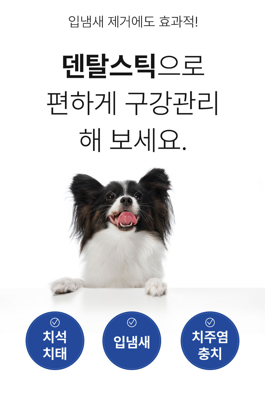 [무료배송] Dogh2o 강아지 고양이 구강케어 자동급수기 정수기 1.2리터 14번째