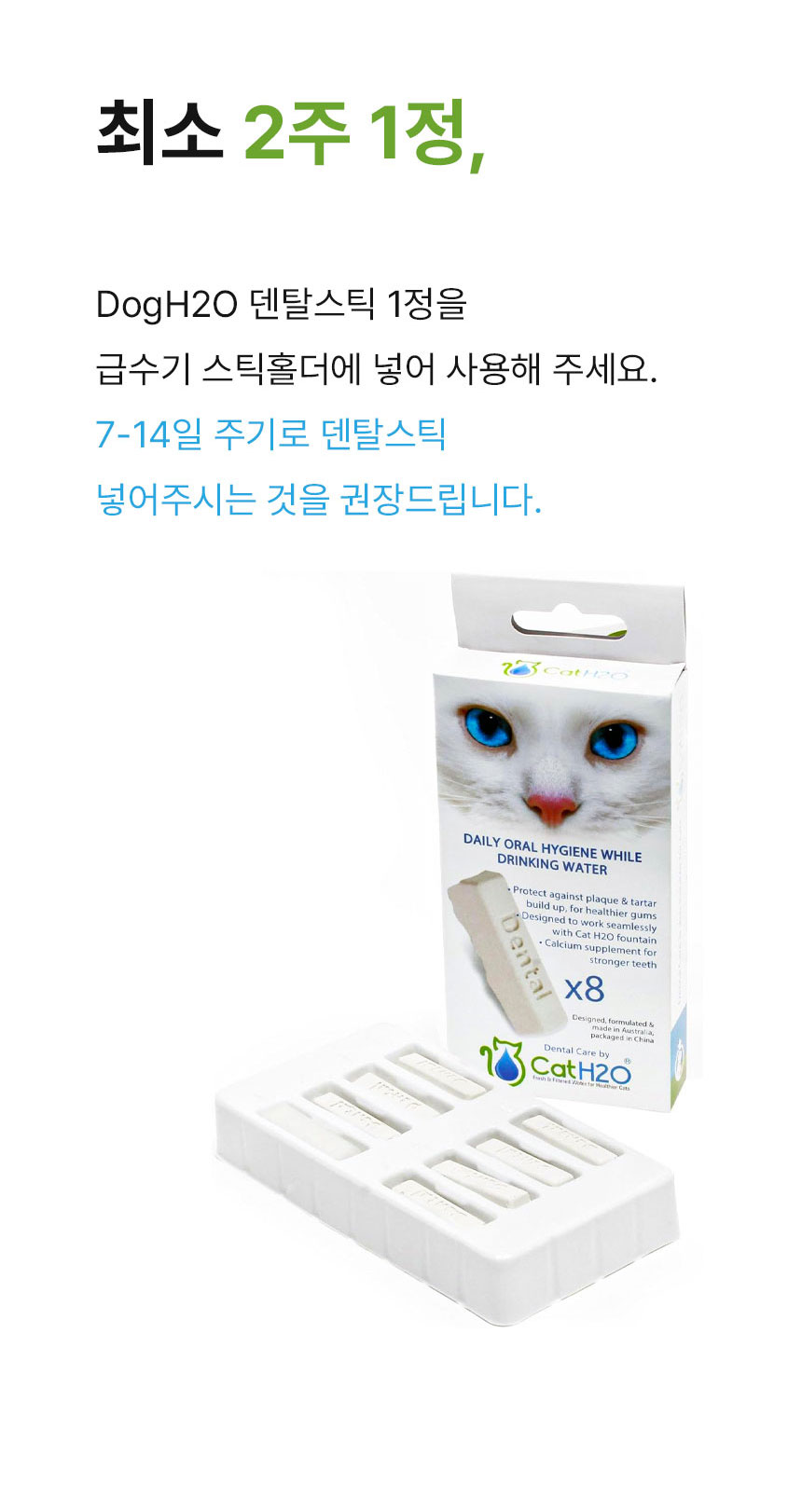 [무료배송] Dogh2o 강아지 고양이 구강케어 자동급수기 정수기 1.2리터 9번째